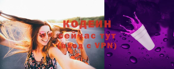 первитин Инта