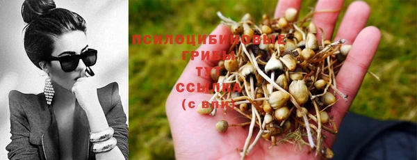 первитин Инта