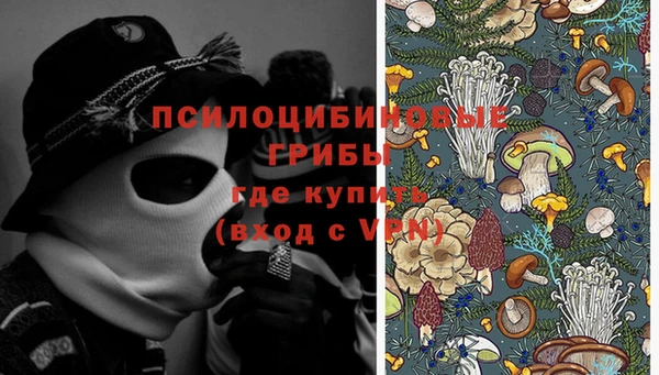 круглые Иннополис