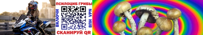 Купить  Шелехов  Псилоцибиновые грибы GOLDEN TEACHER 